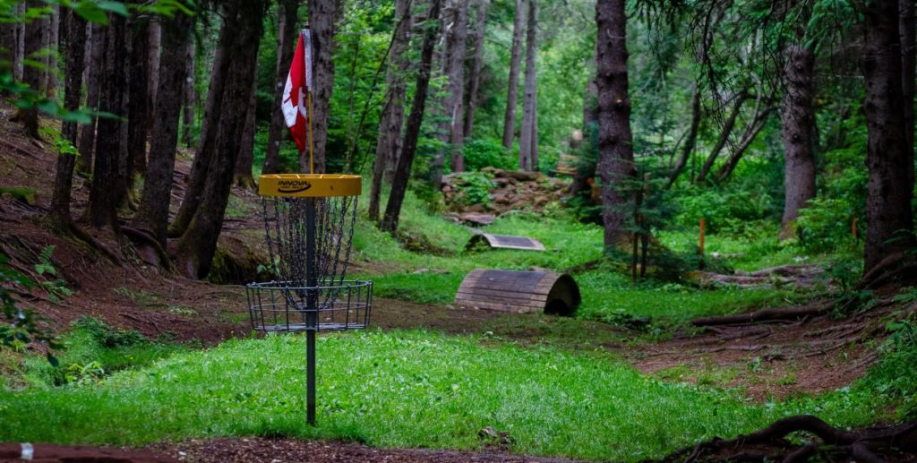 Canadian Disc Golf Association